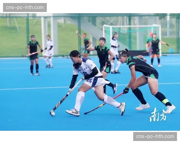 数据报告：全球曲棍球器材市场规模在2025年增长15%